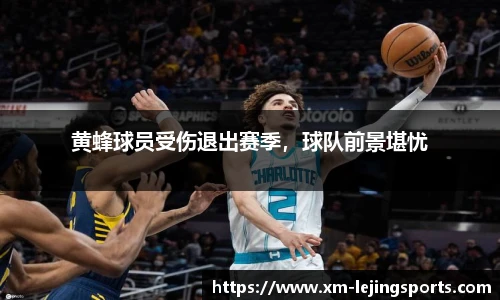 黄蜂球员受伤退出赛季,球队前景堪忧