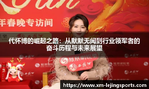 代怀博的崛起之路:从默默无闻到行业领军者的奋斗历程与未来展望